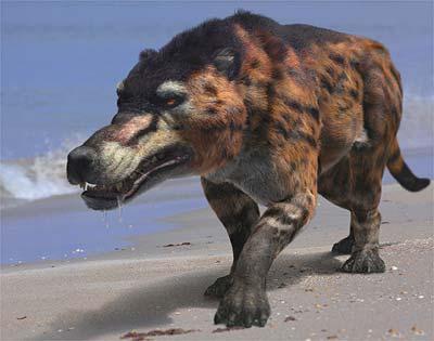 A  reconstruction of Andrewsarchus, the largest known mesonychid or hoofed  predator, a from the documentary Walking With Prehistoric Beasts. This  screenshot is copyrighted by those who own the copyright to the film.