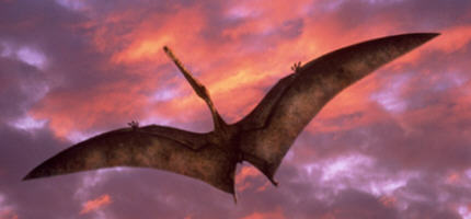A reconstruction of Ornithocheirus, a pterosaur, in the documentary 'Walking with Dinosaurs.' This screenshot is copyrighted by those who own the copyright to the film.
