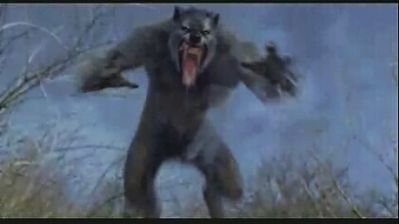 http://www.newanimal.org/werewolf_helsing.jpg